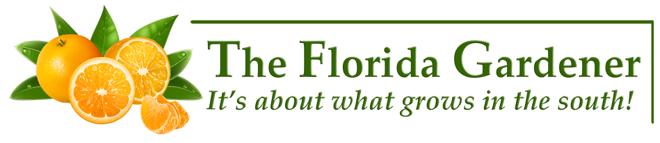 Florida Gardening Tips